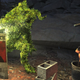 Image for article titled The Sad Story Of Steve, The Pet Deathclaw Whose Life Was Cut Short By Fallout 76 Bugs